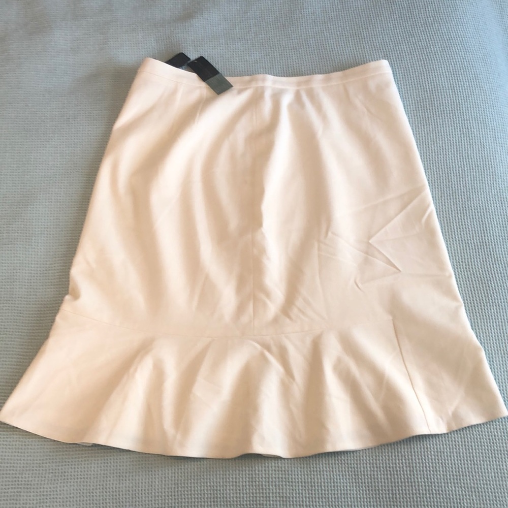 The limited women’s dress skirt